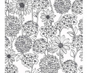 Coloriage Zen Fleurs