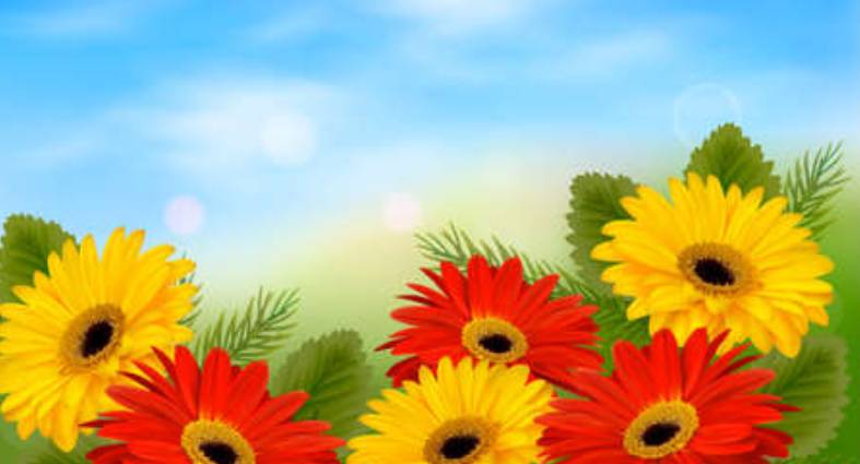 Belles fleurs de la plaine