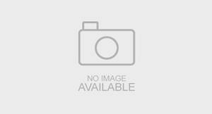 Comptine Coucou Hibou