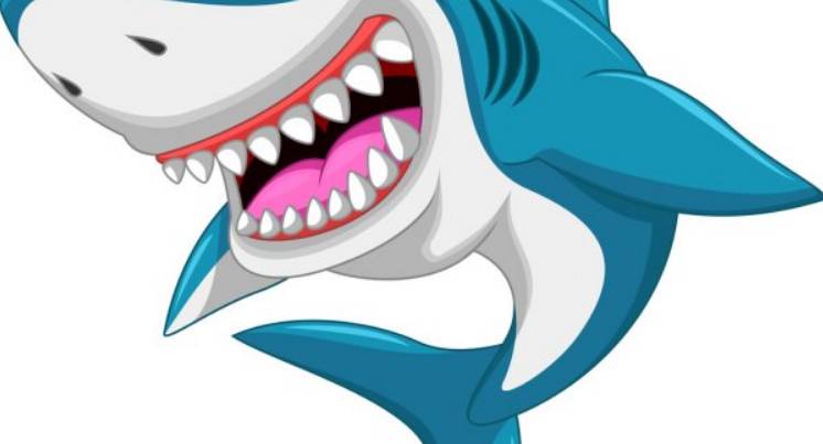 comptine le requin quiz coloriage sucette