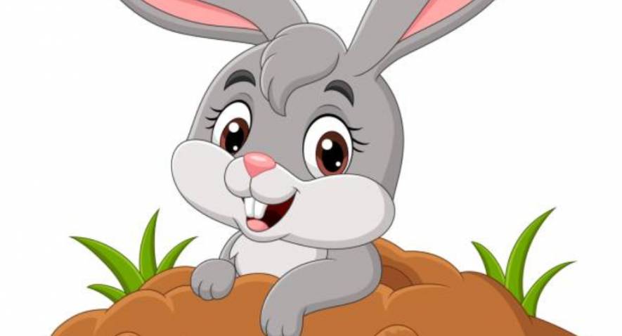 Les animaux en été