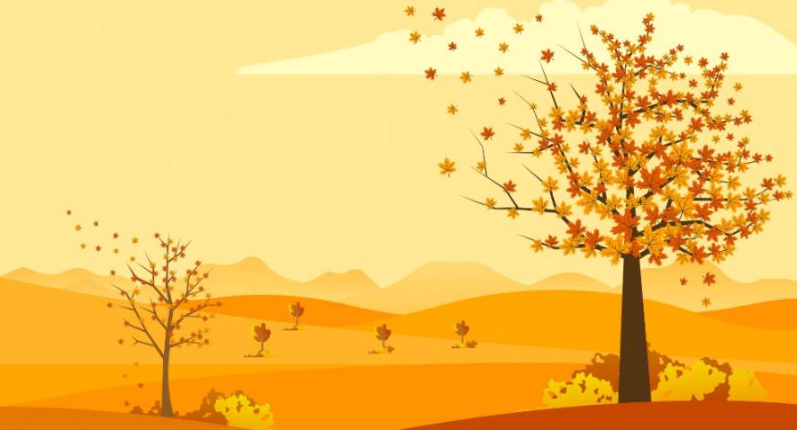 Les fruits d'automne