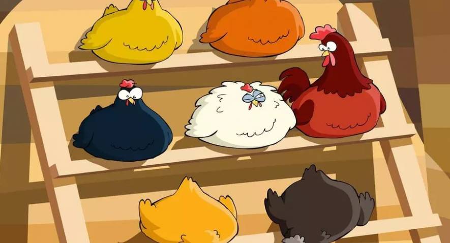 Mademoiselle, j’ai des poules