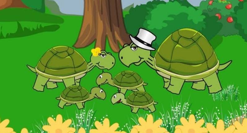 Papa et maman tortue