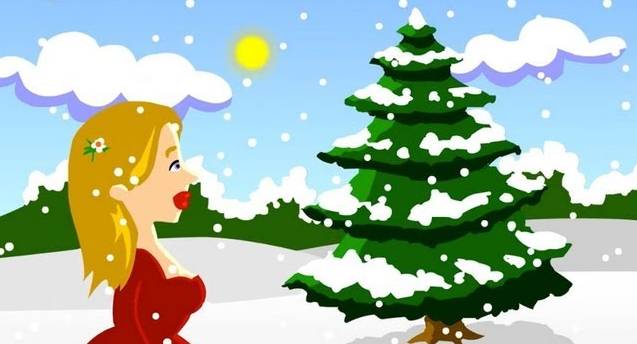 Sapin des bois