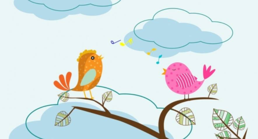 Tous les oiseaux