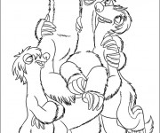 Coloriage Les paresseux