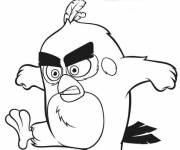 Coloriage Affiche du film Angry Birds