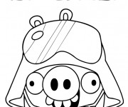Coloriage Angry Birds Star Wars Toons