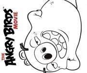 Coloriage Cochon Angry Birds film