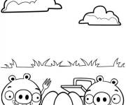Coloriage Les Angry Birds font un picnic