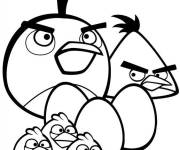 Coloriage Les oiseaux Angry Birds