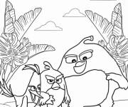 Coloriage Les trois angry birds sur la plage