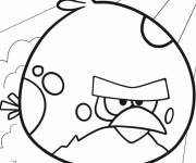 Coloriage Terence Angry Birds