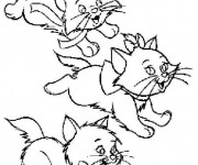 Coloriage et dessins gratuit Aristochats gratuit à imprimer à imprimer