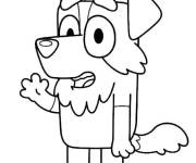 Coloriage Canine, le voisin de Bluey