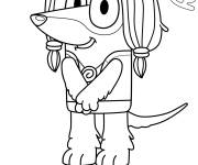 Coloriage Indy, le chien afghan