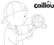 Coloriage Caillou d&eacute;couvre les insectes