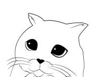 Coloriage Chat Bott&eacute; avec le regard adorable
