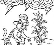 Coloriage Chat pott&eacute; planter les haricots magiques