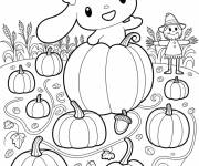 Coloriage Cinnamoroll parmi des citrouilles et une &eacute;pouvantail