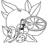 Coloriage Diddl aime le jus d'orange