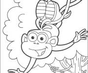 Coloriage et dessins gratuit Le singe Babouche de Go Diego à imprimer