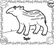 Coloriage Tapir, l'ami de Diego