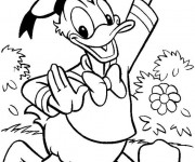 Coloriage et dessins gratuit Donald Duck dessin animé à imprimer
