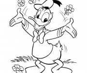 Coloriage Donald Duck en nature