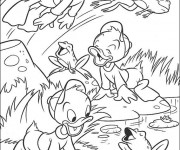 Coloriage riri, fifi et Loulou gratuit