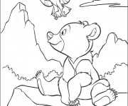 Coloriage Frère des Ours en couleur