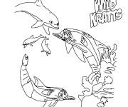 Coloriage Fr&egrave;res Kratt avec les dauphins
