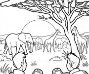 Coloriage Fr&egrave;res Kratt et la vue sur la jungle au coucher du soleil