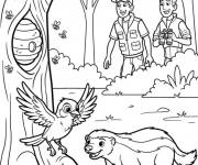 Coloriage Fr&egrave;res Kratt explorent les animaux