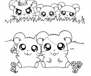 Coloriage Hamtaro Hamster Rigolo