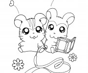 Coloriage Hamtaro:  Librius et Tigris