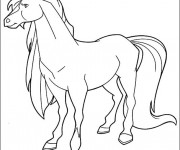 Coloriage Horseland Apache