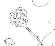 Coloriage Le petit prince coloriage gratuit