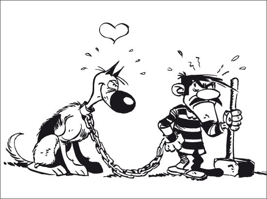 le chien en amour avec jack en prison humoristique 5408