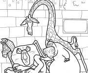 Coloriage Alex, Marty, Gloria et Melman dans Central Park