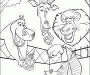 Coloriage et dessins gratuit Madagascar dans le Zoo à imprimer