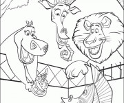 Coloriage Madagascar dans le Zoo