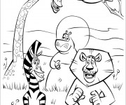 Coloriage et dessins gratuit Madagascar dessin animé à imprimer