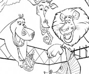 Coloriage Madagascar l'anniversaire de Marti