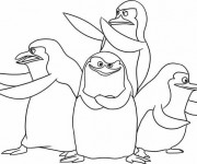 Coloriage Madagascar les pinguins en ligne