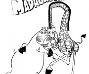 Coloriage et dessins gratuit Madagascar Melman et Gloria à imprimer