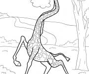 Coloriage Melman qui vous fait rire