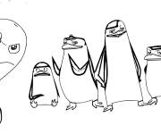 Coloriage Pingouins avec Dr. Évent de Madagascar
