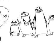 Coloriage Pingouins avec Dr. &Eacute;vent de Madagascar
